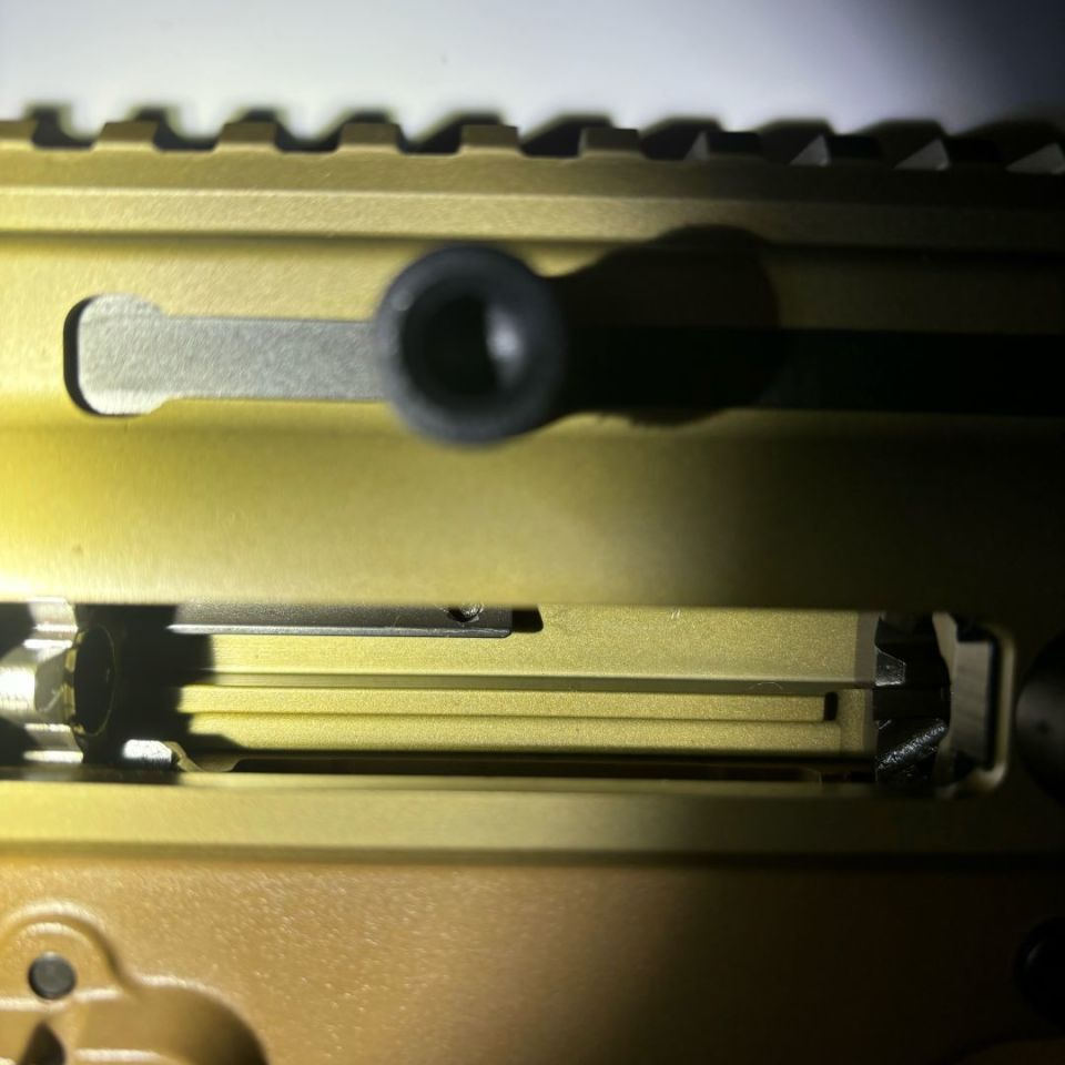 Image 3 - Scar16 NRCH