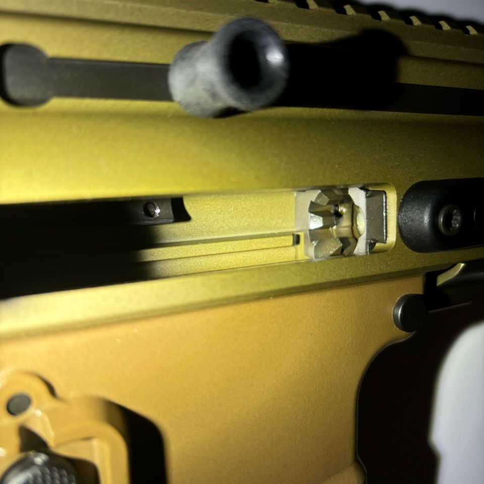 Image 2 - Scar16 NRCH