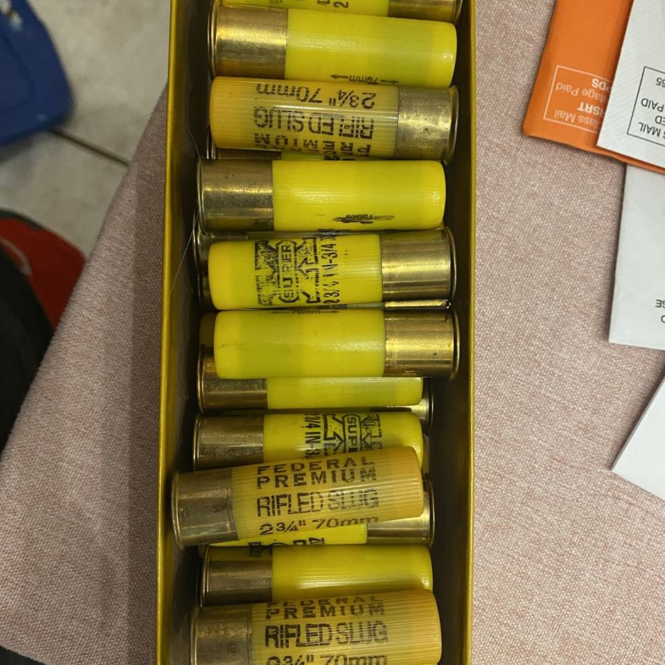 Image 3 - 20 gauge ammo 