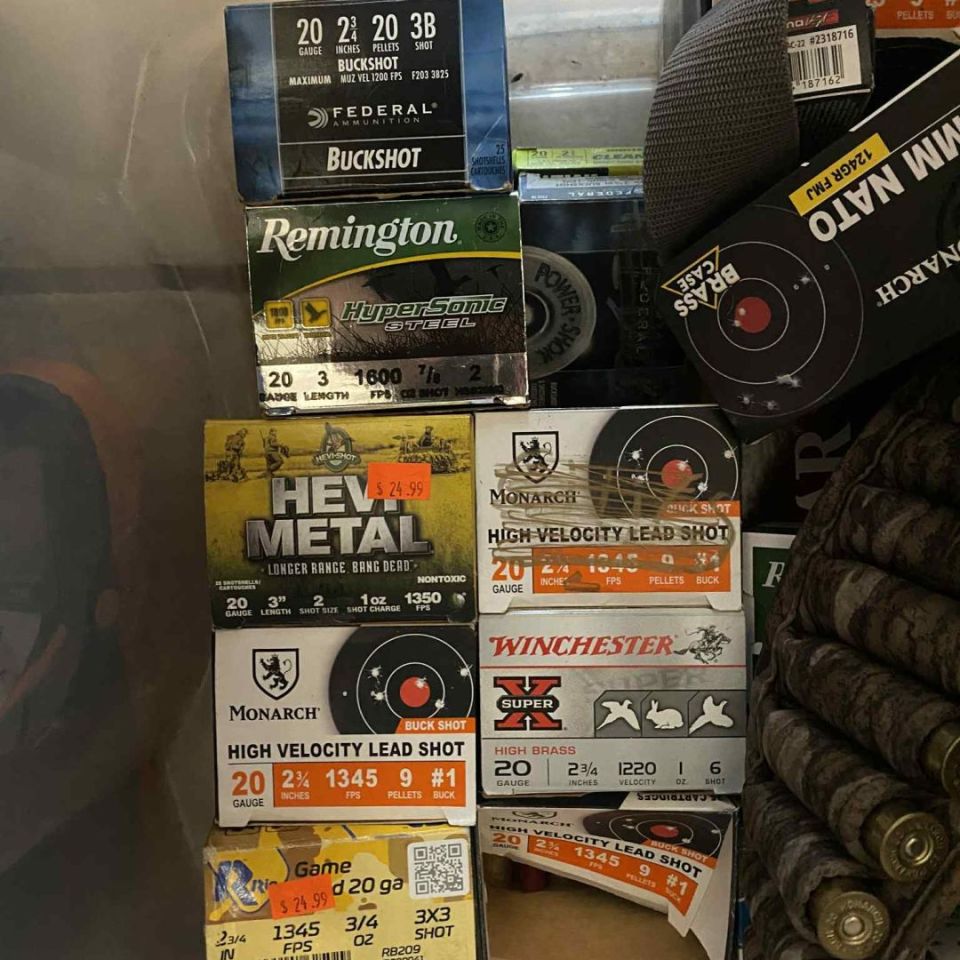 Image 2 - 20 gauge ammo 