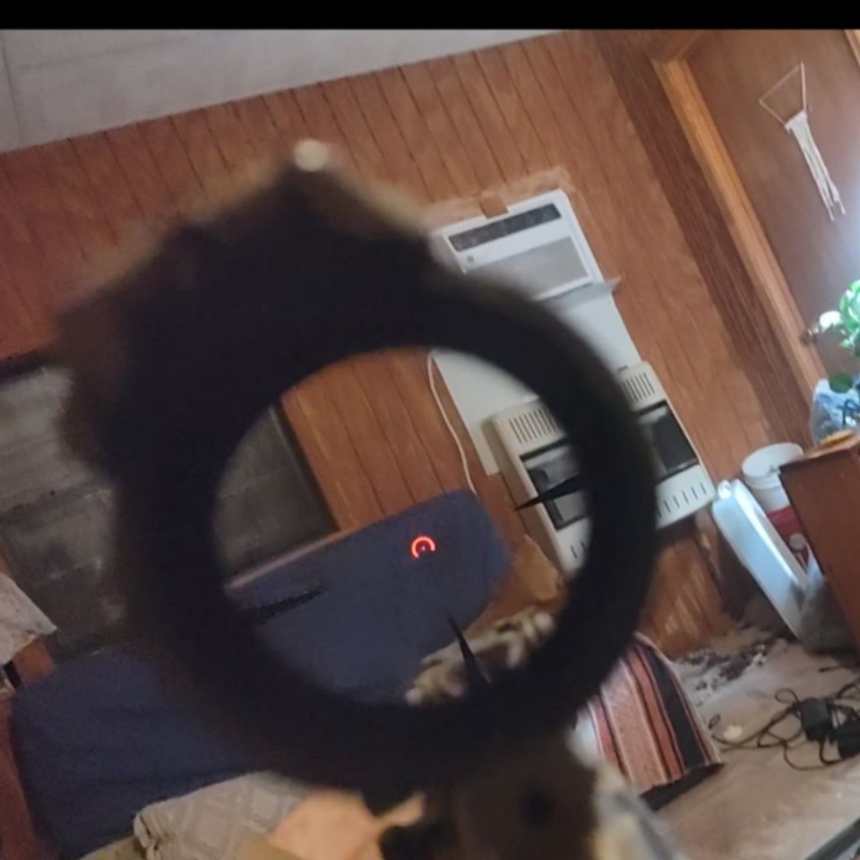 Image 5 - Galil Ace Gen 2 