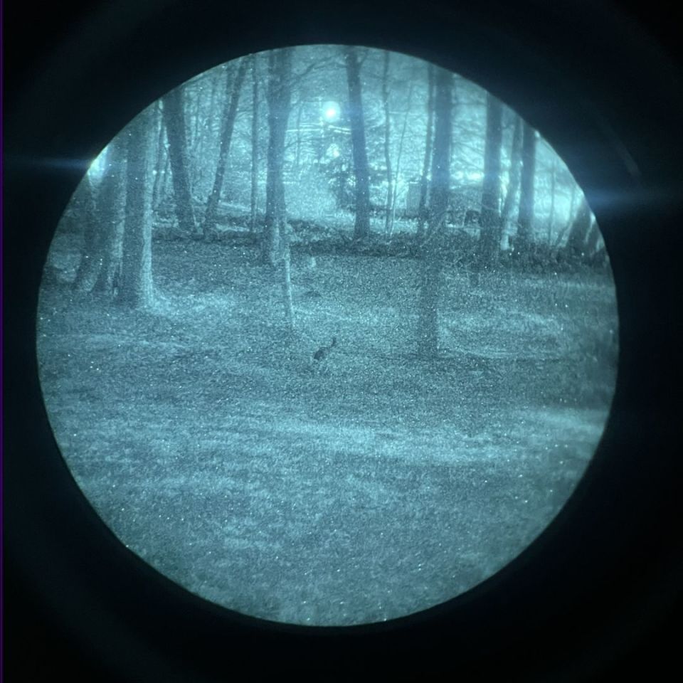 Image 3 - Elbit ph 2000+ fom. Wp tubes 