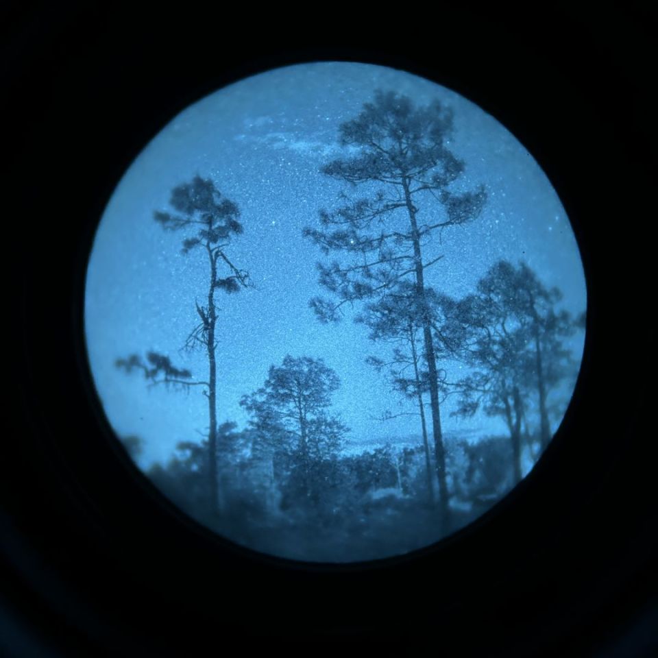 Image 2 - Elbit PH tanto 