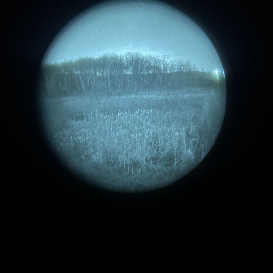 Image 1 - 1500+ fom WP pvs14