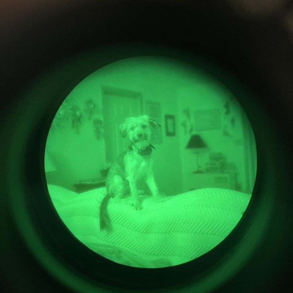 Image 1 - Omni 6 pvs14s!