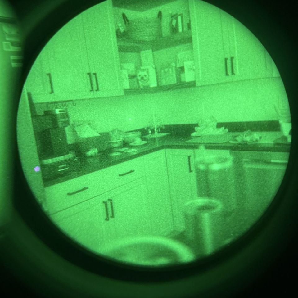 Image 3 - QTNVG pro $8500