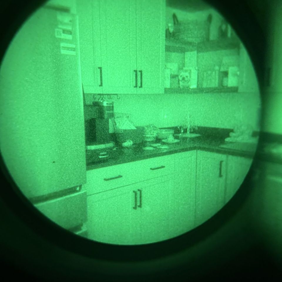 Image 2 - QTNVG pro $8500