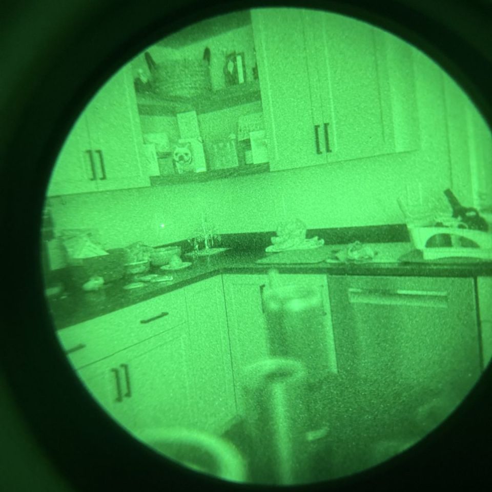 Image 4 - QTNVG pro $8500