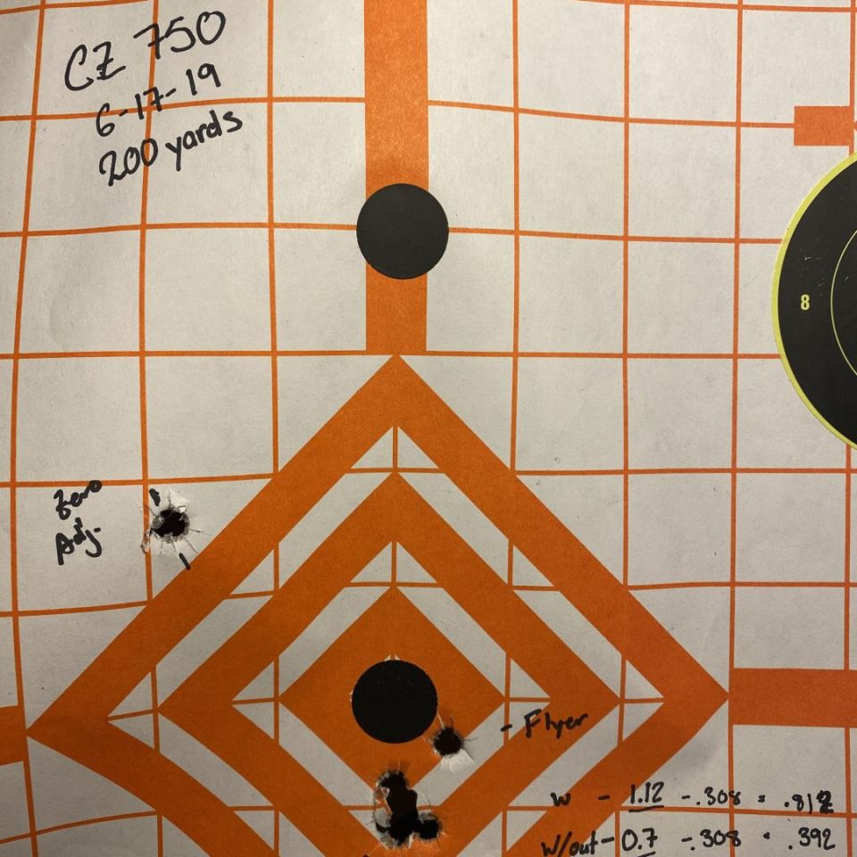 Image 4 - CZ 750 S1M1 w/ DMR II elite