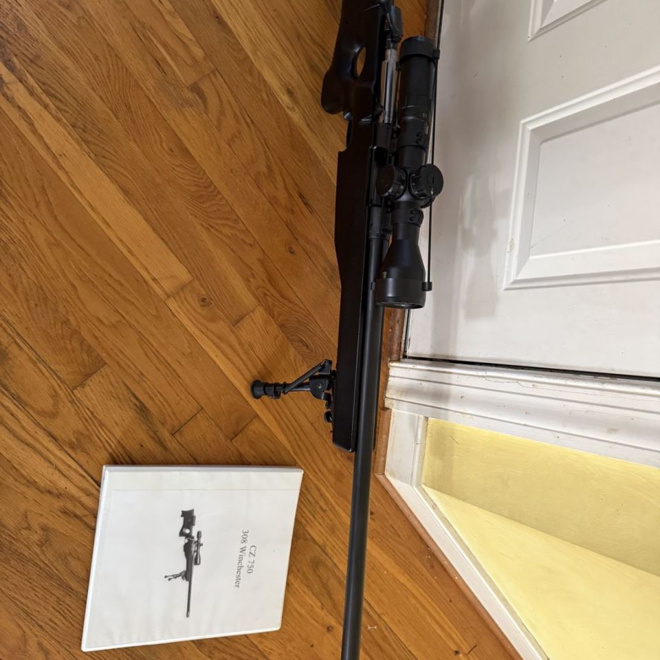 Image 2 - CZ 750 S1M1 w/ DMR II elite