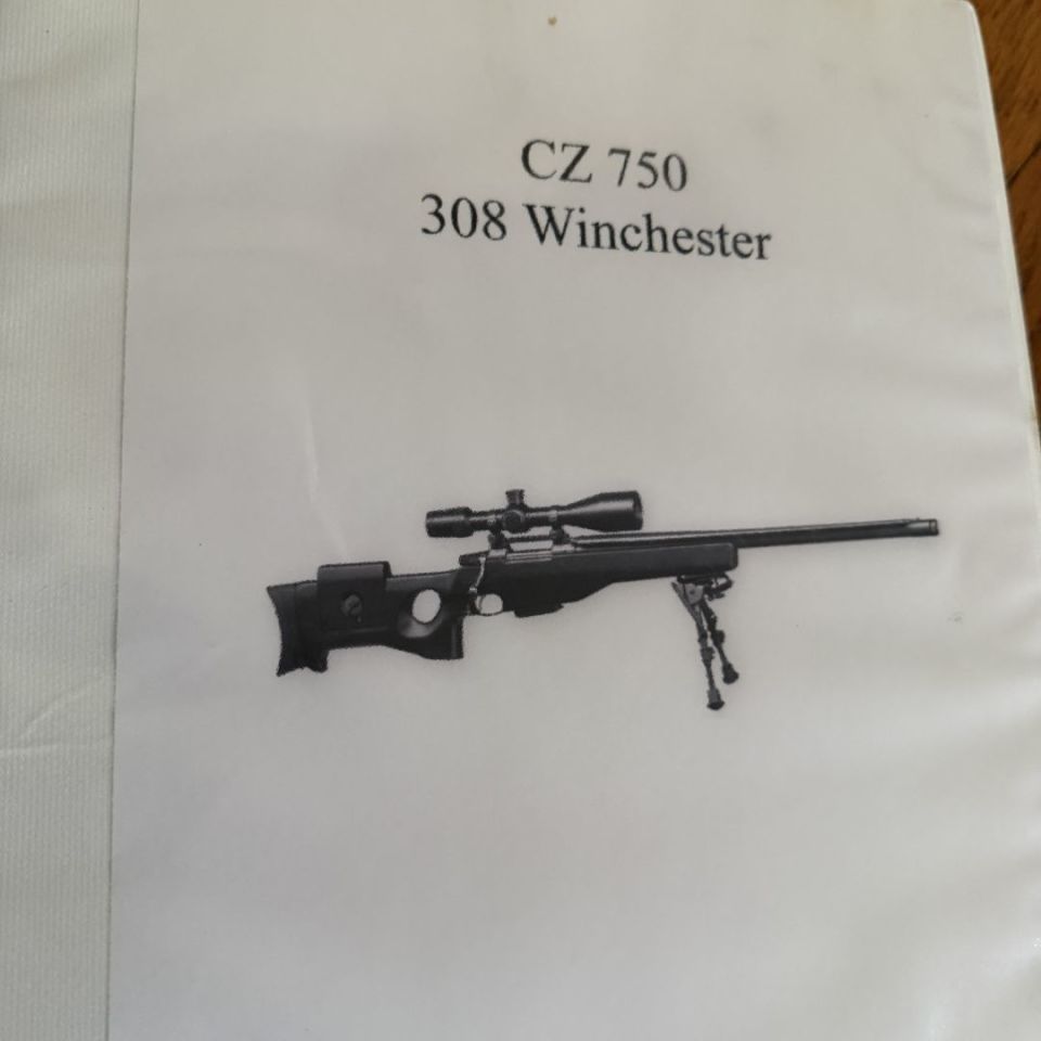 Image 5 - CZ 750 S1M1 w/ DMR II elite