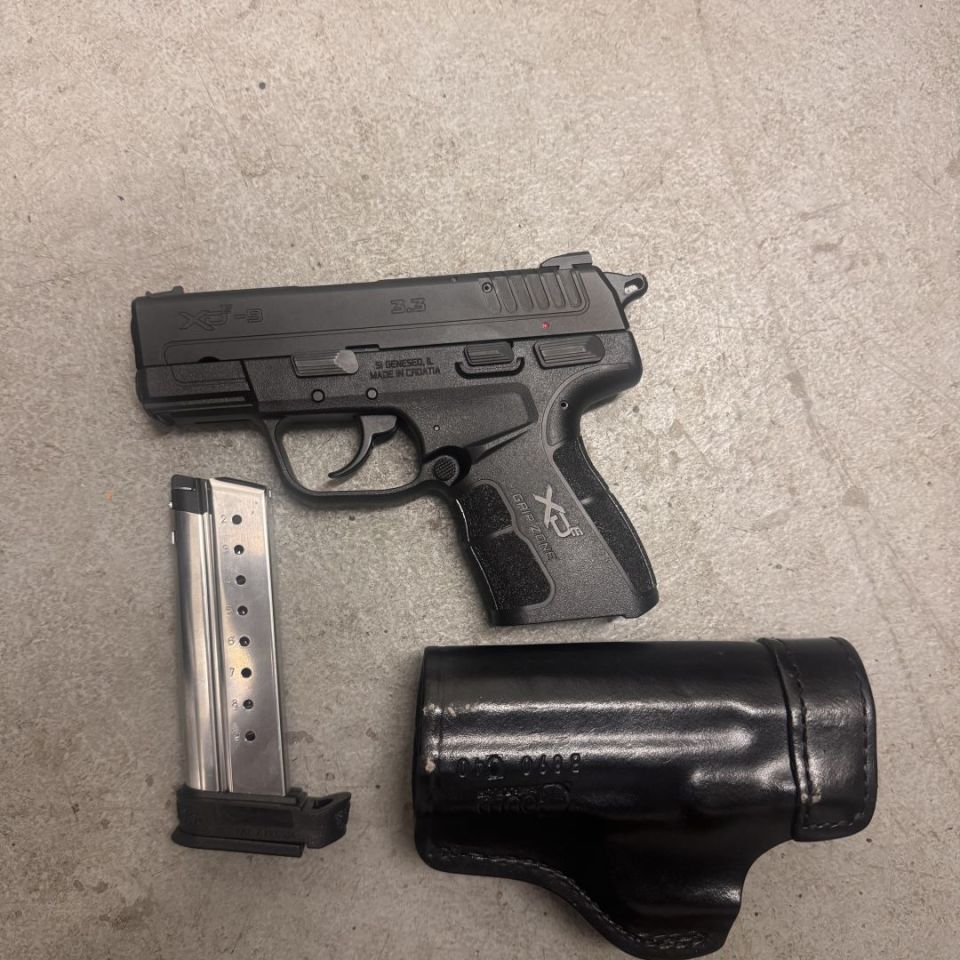 Image 1 - Springfield XDE-9