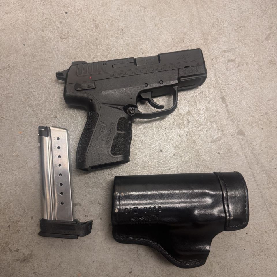 Image 2 - Springfield XDE-9