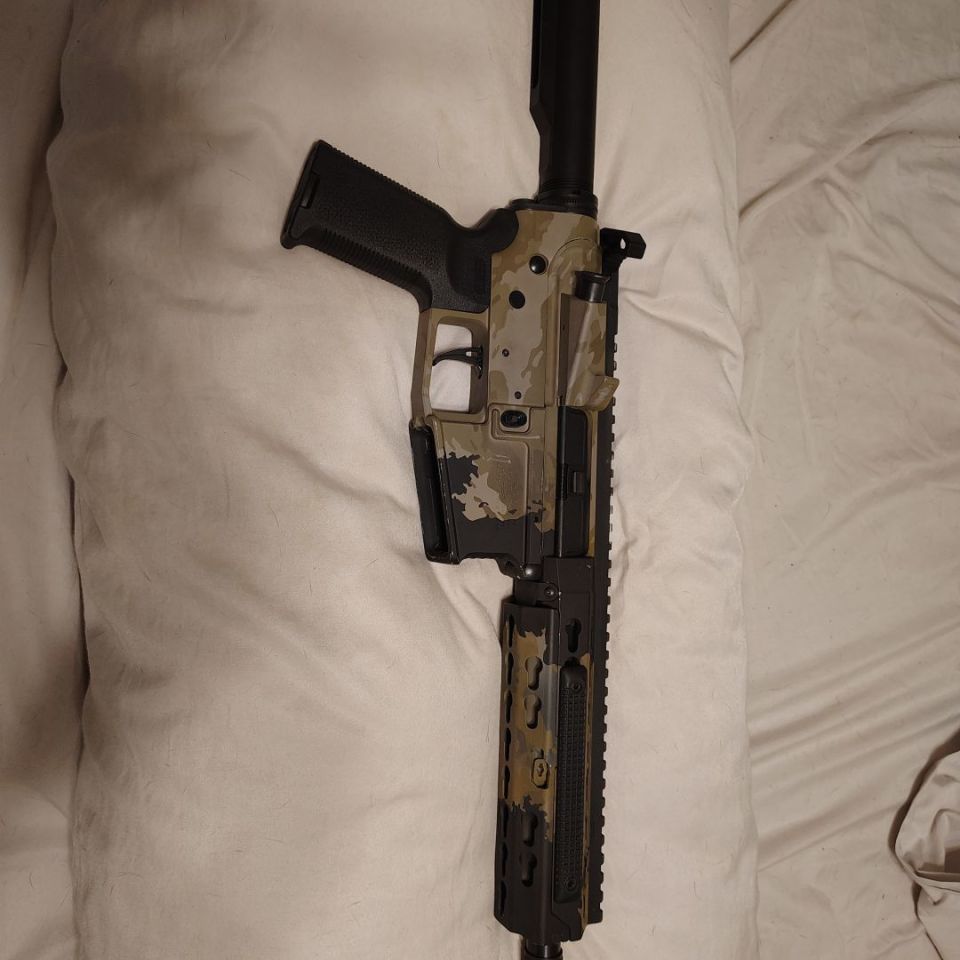 Image 2 - .300 BLK build