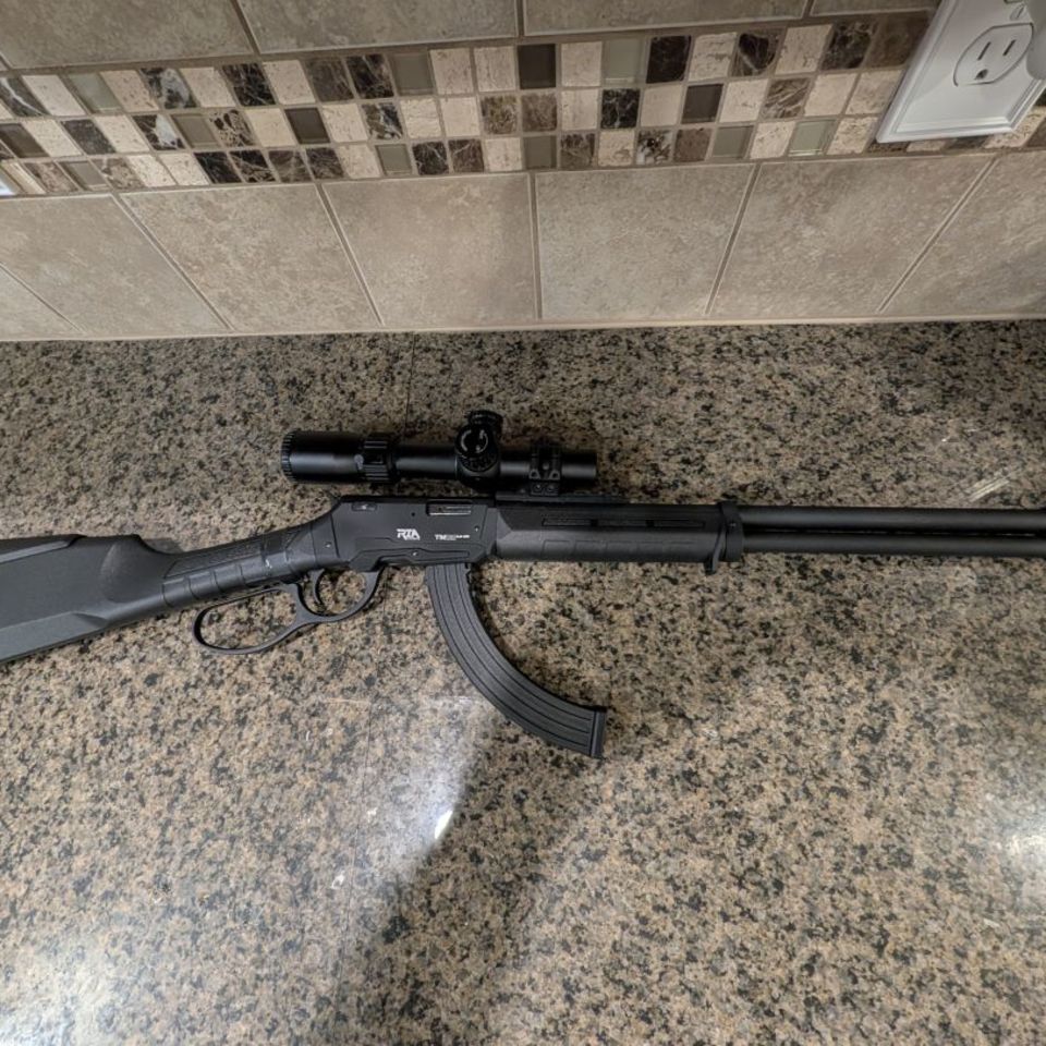 Image 1 - RIA TM22 Lever Action 