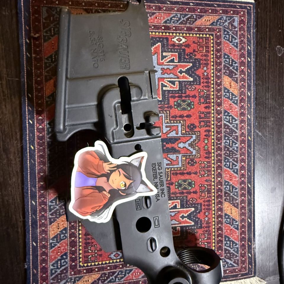 Image 4 - WTT: Sig 516 AR Lower 4 desc