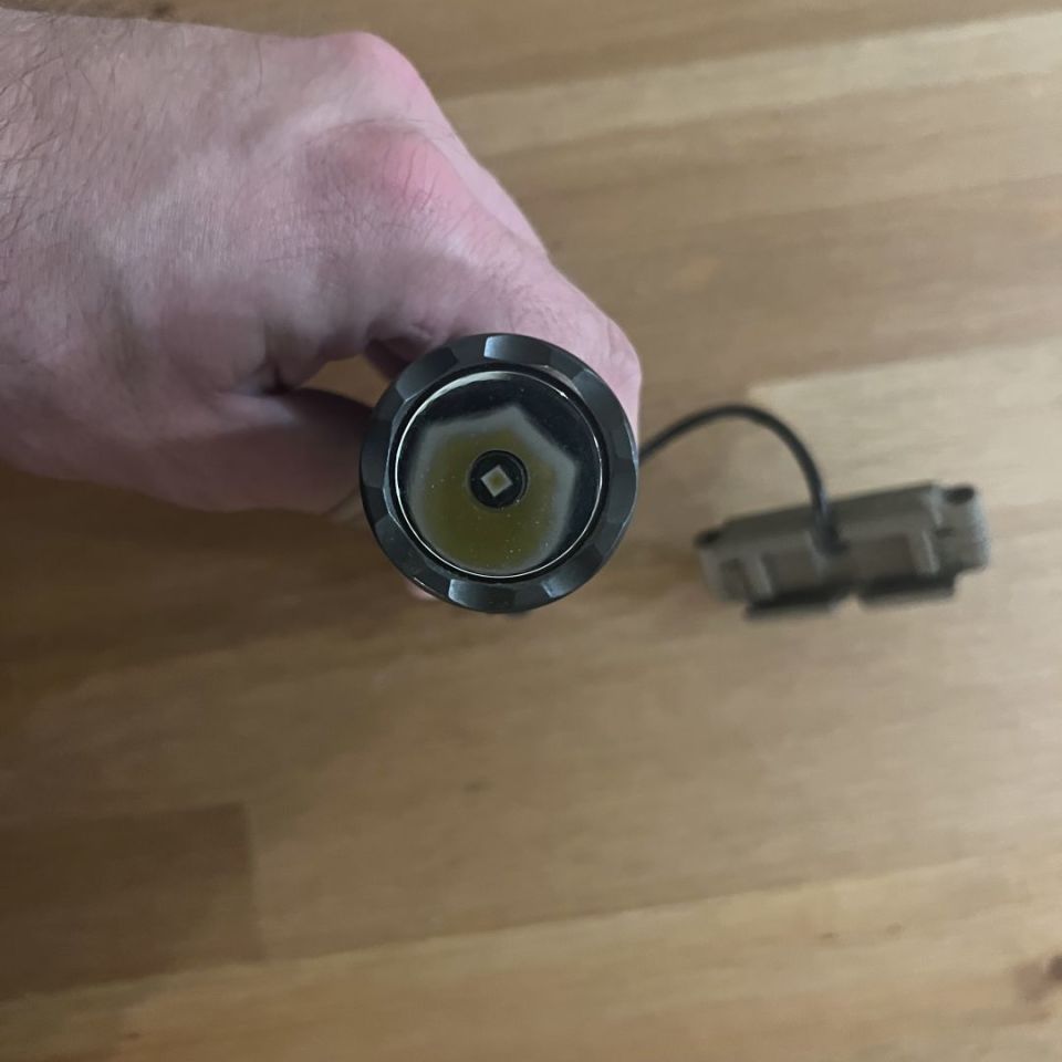 Image 2 - CD Rein 1.0 Fullsize