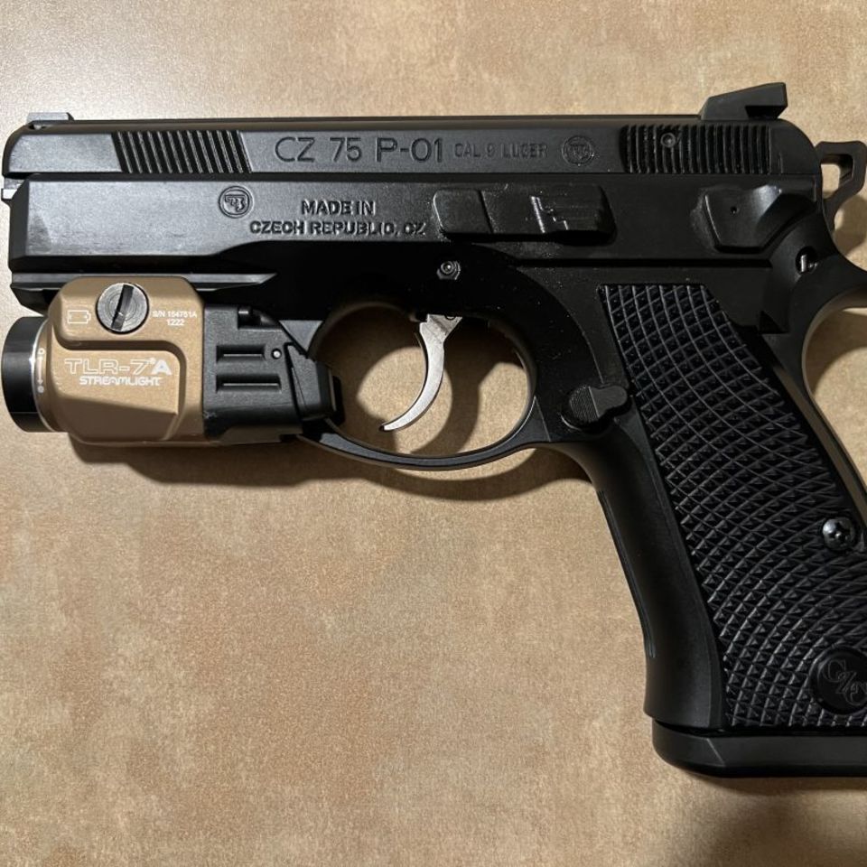 Image 1 - CZ Custom P-01