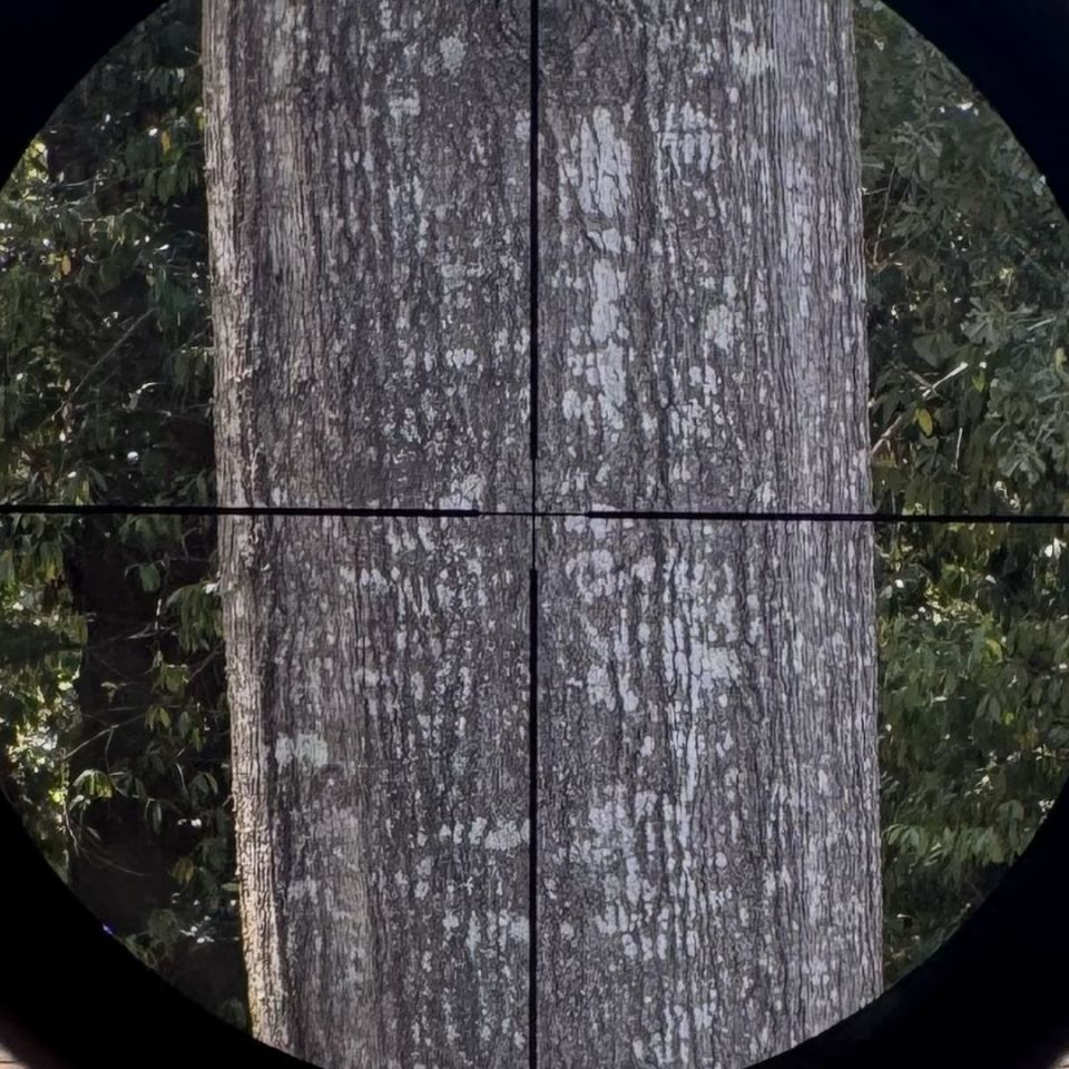 Image 5 - Silverback TAC 41 P Airsoft