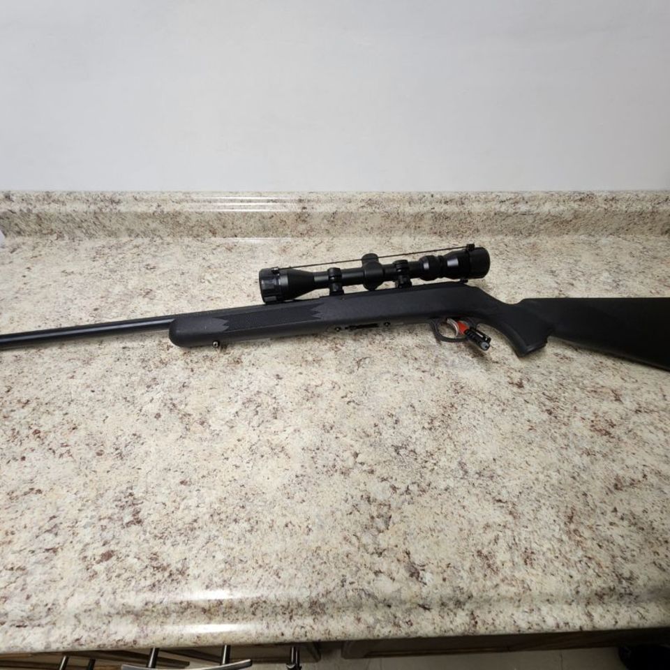 Image 2 - Savage 64 .22