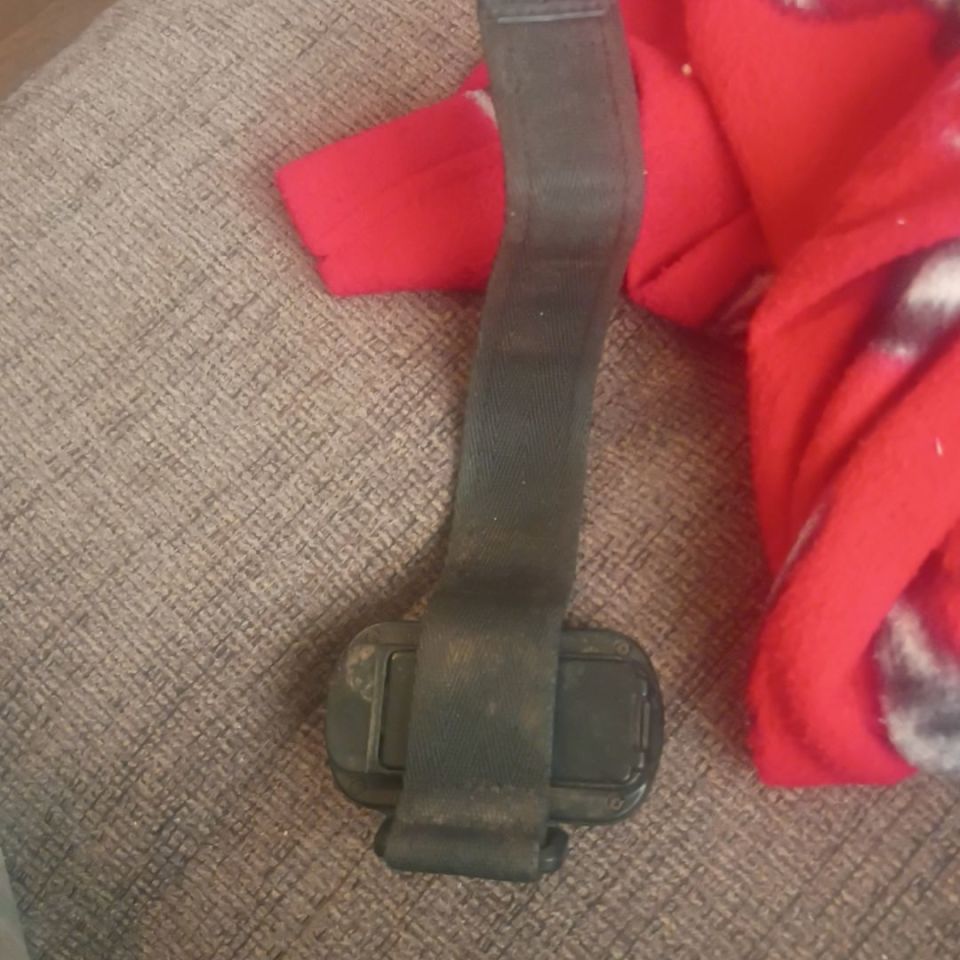 Image 2 - Garmin Foretrex 401 