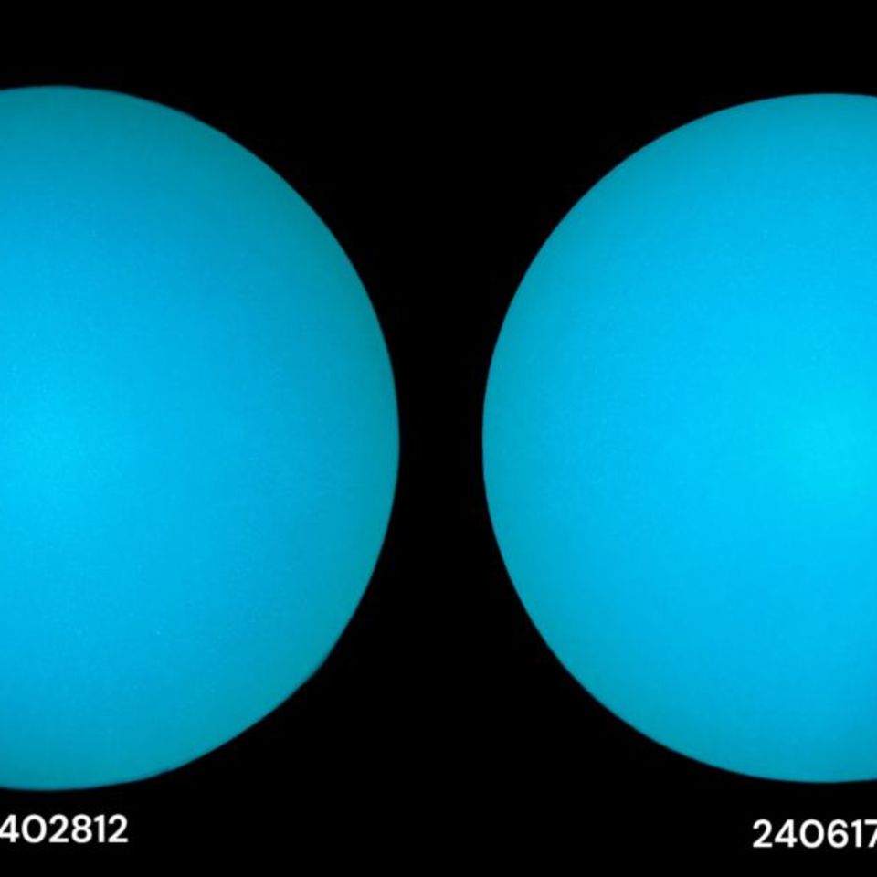 Image 4 - LLUL-21 V2 NNVT WP's