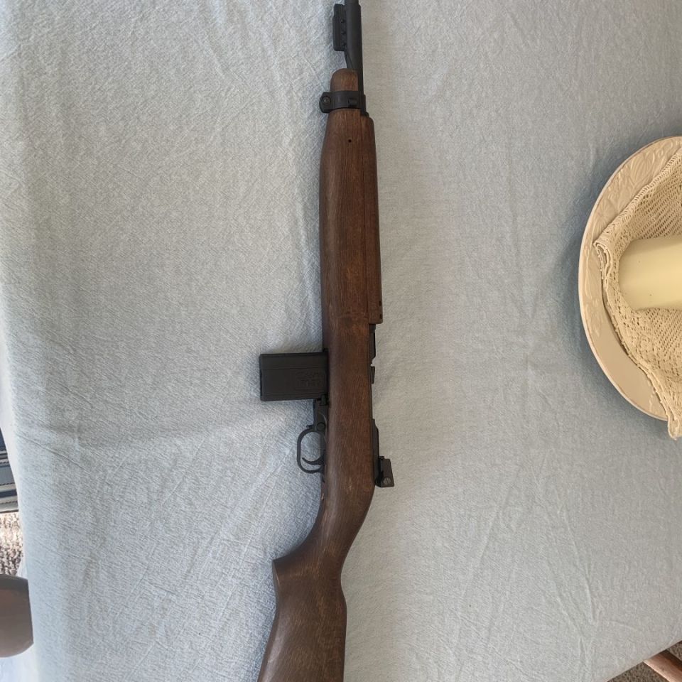 Image 2 - Chiappa M1-22