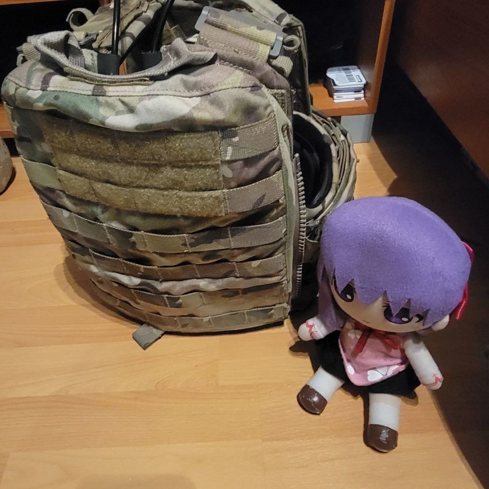 Image 2 - Crye CPC Medium