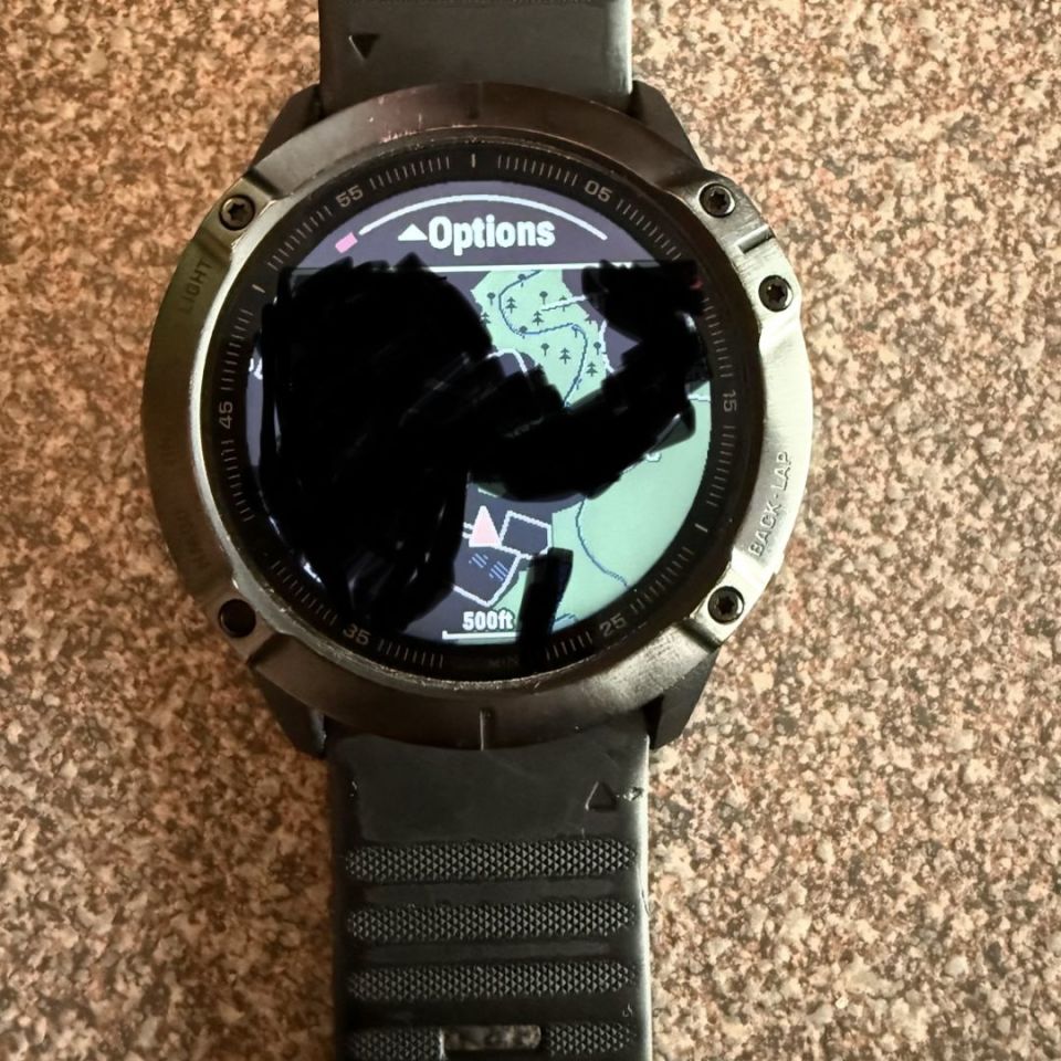 Image 2 - Garmin Fenix 6X pro 