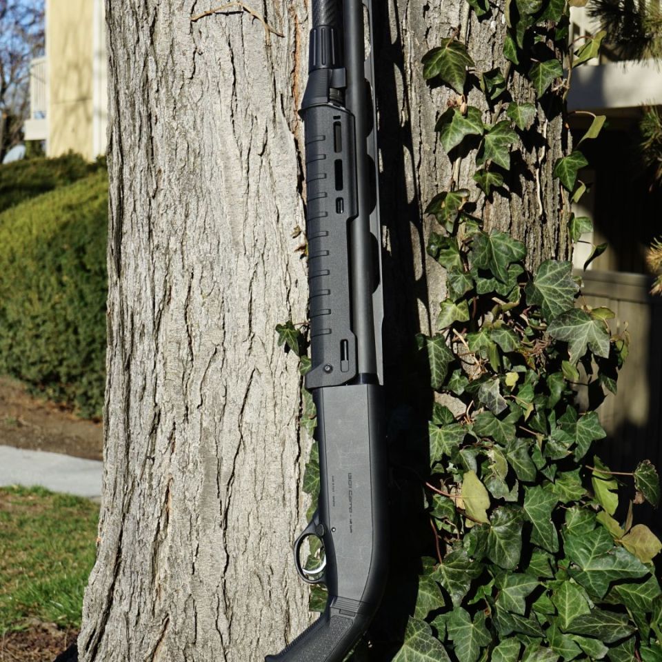 Image 2 - Beretta 1301 Comp, 24”, 10+1