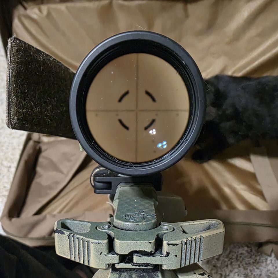 Image 3 - Sr-15 (knights) / radian build