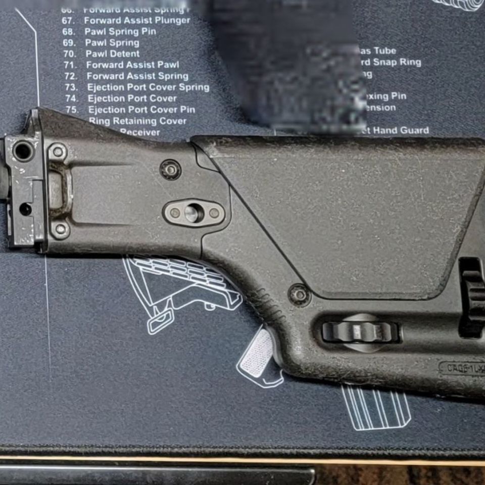 Image 2 - Bushmaster ACR PRS Stock