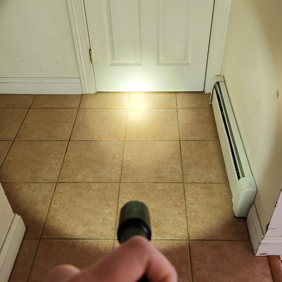 Image 3 - CD Rein 2.0