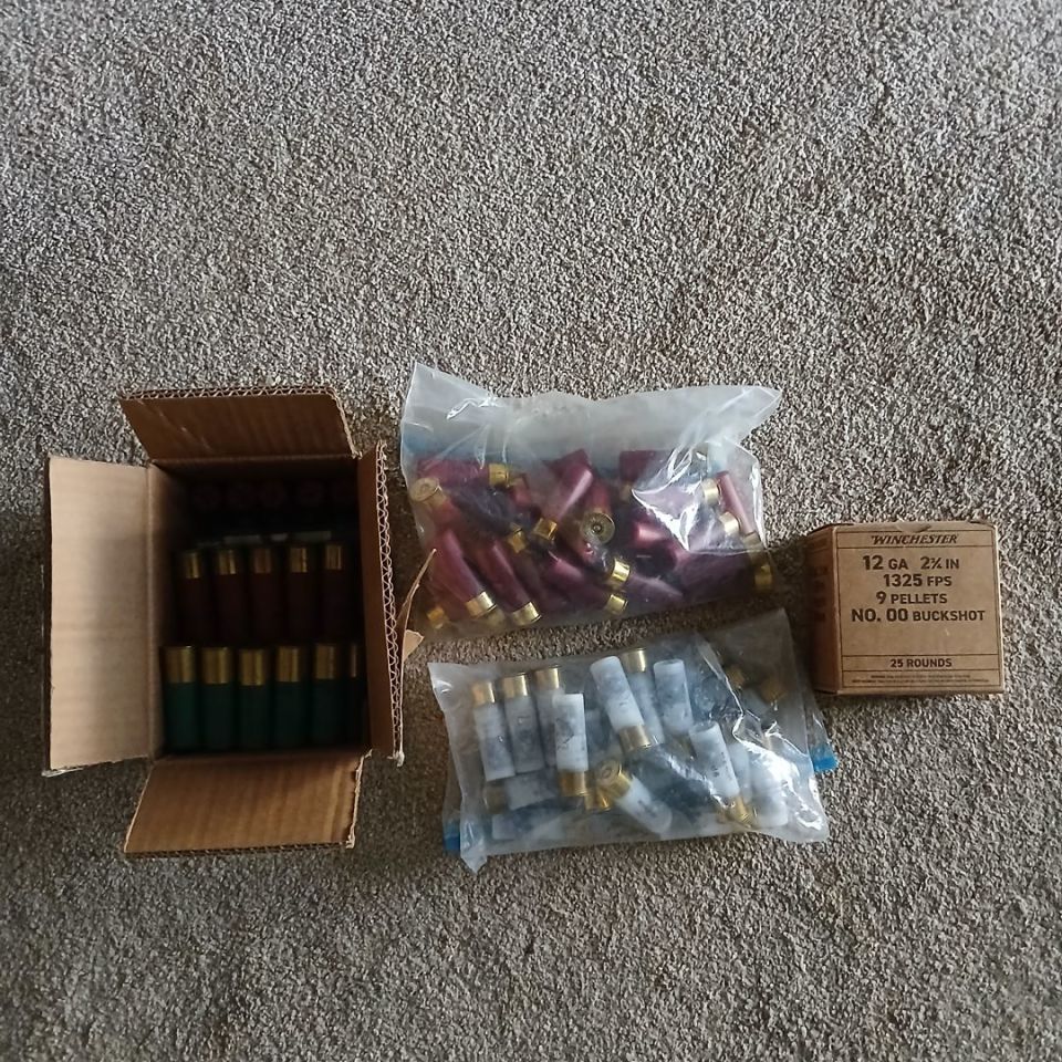 Image 1 - 12g buckshot lot
