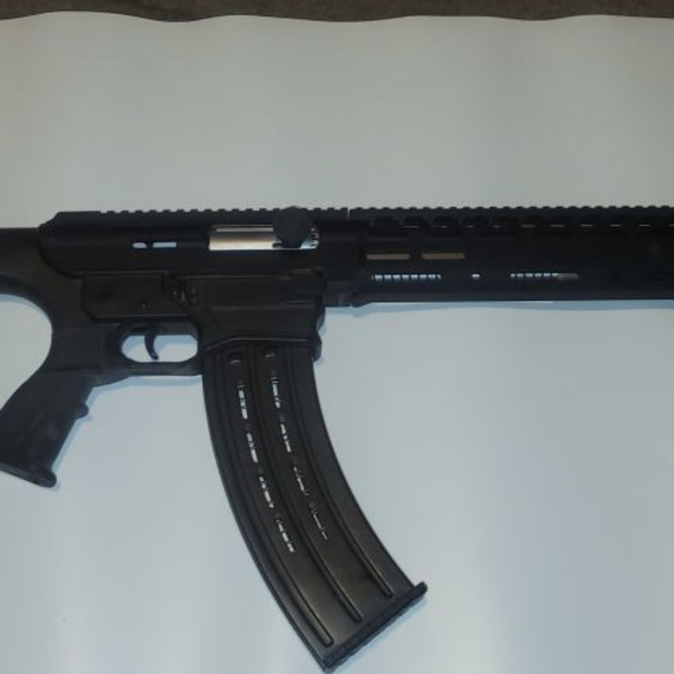 Image 1 - Panzar Arms AR Twelve 