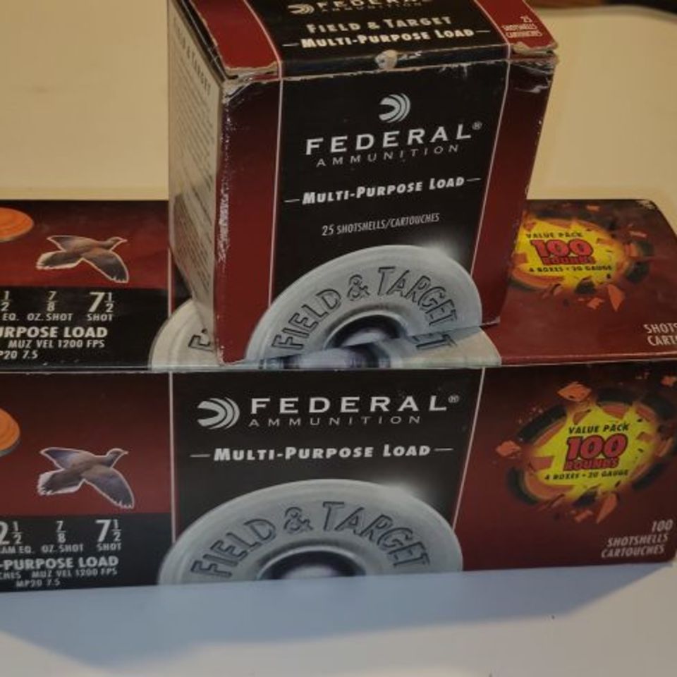 Image 2 - Various 12ga