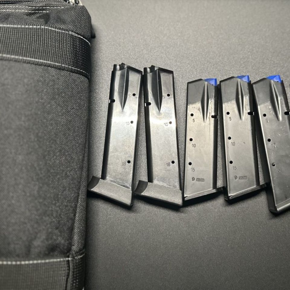 Image 4 - Dan Wesson DWX Compact OR