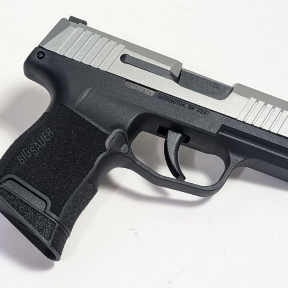 Image 2 - Sig P365 Micro Stainless