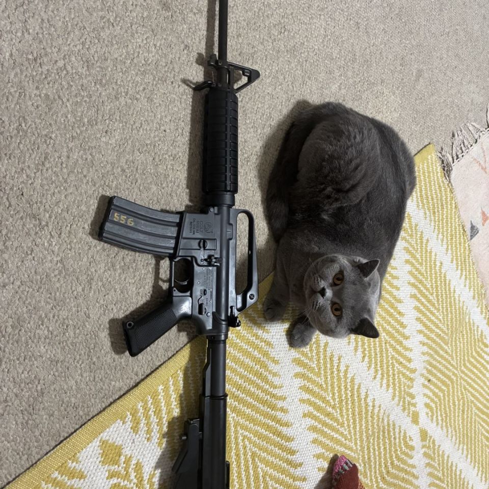 Image 2 - Colt M16A1 Carbine