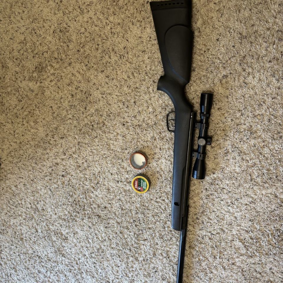 Image 3 - Gamo .177 Big Cat 1200