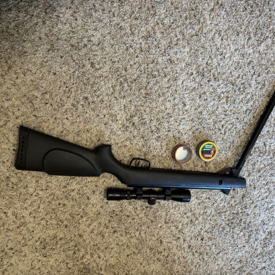 Image 2 - Gamo .177 Big Cat 1200