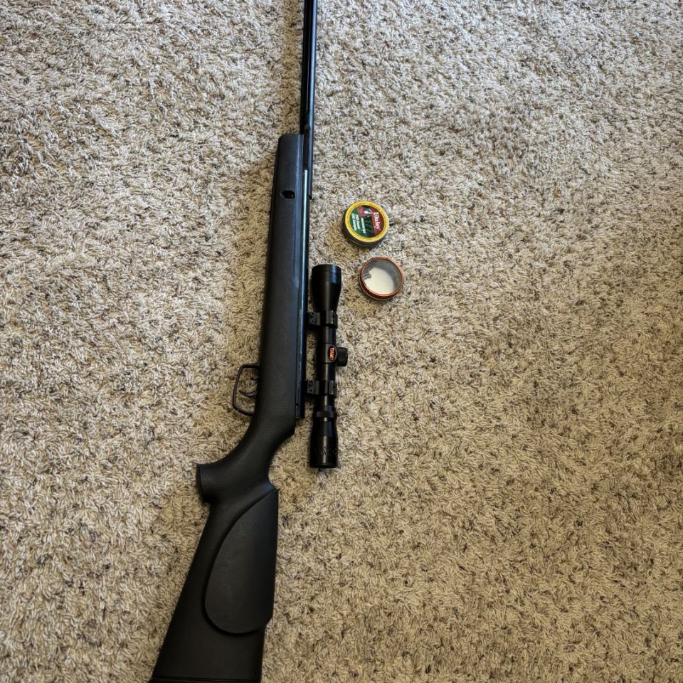 Image 1 - Gamo .177 Big Cat 1200