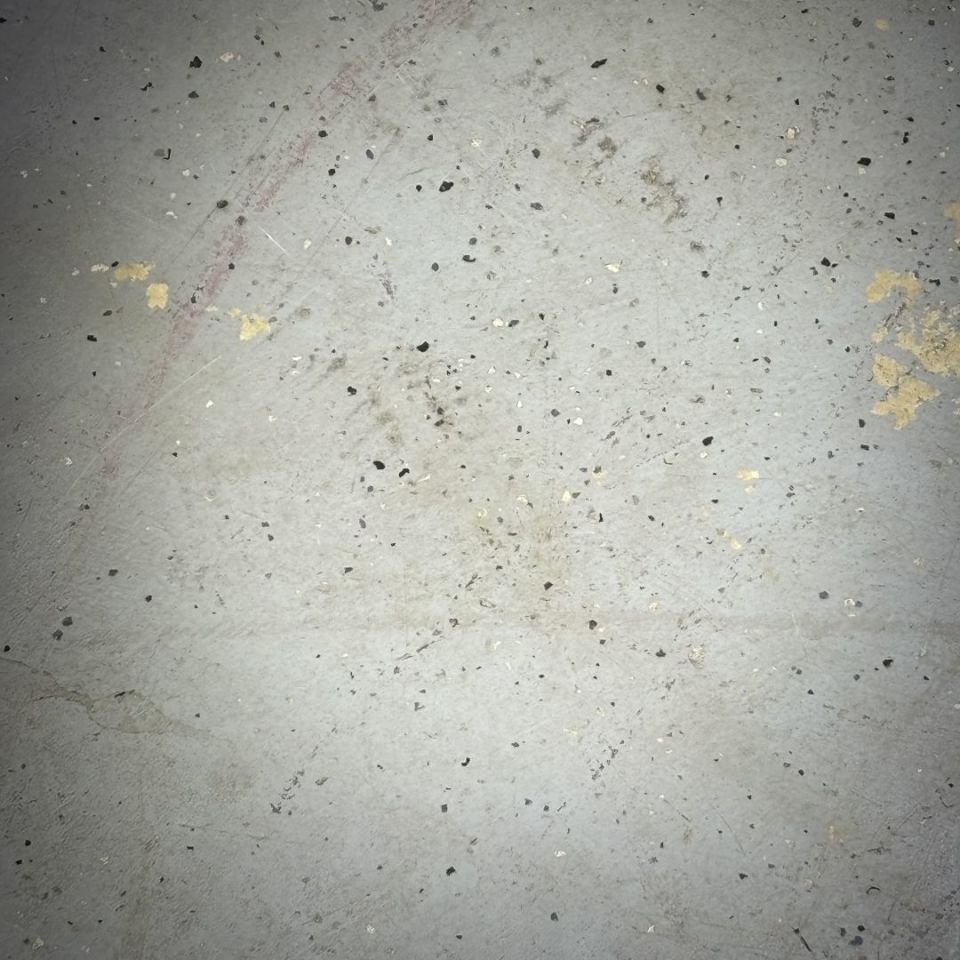 Image 3 - Streamlight TLR-2 HL G