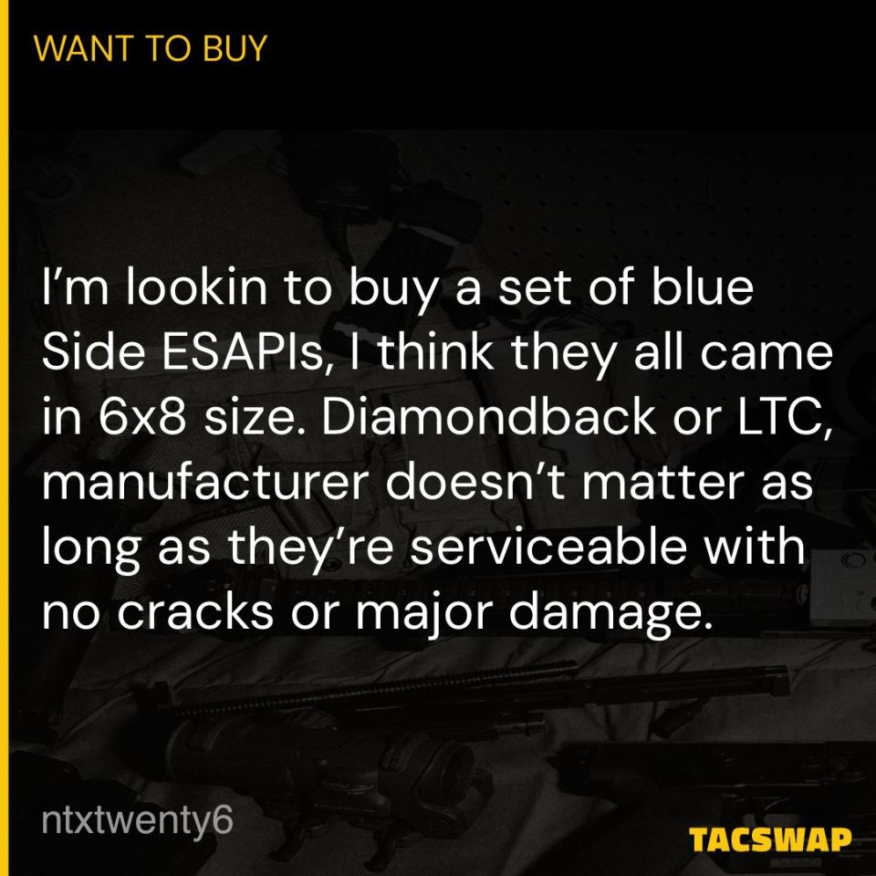 Image 1 - WTB Blue Side Esapi Plates