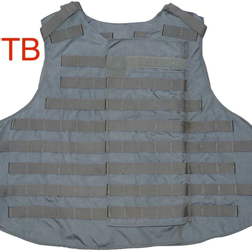 Image 1 - WTB Grey Afghan Interceptor 