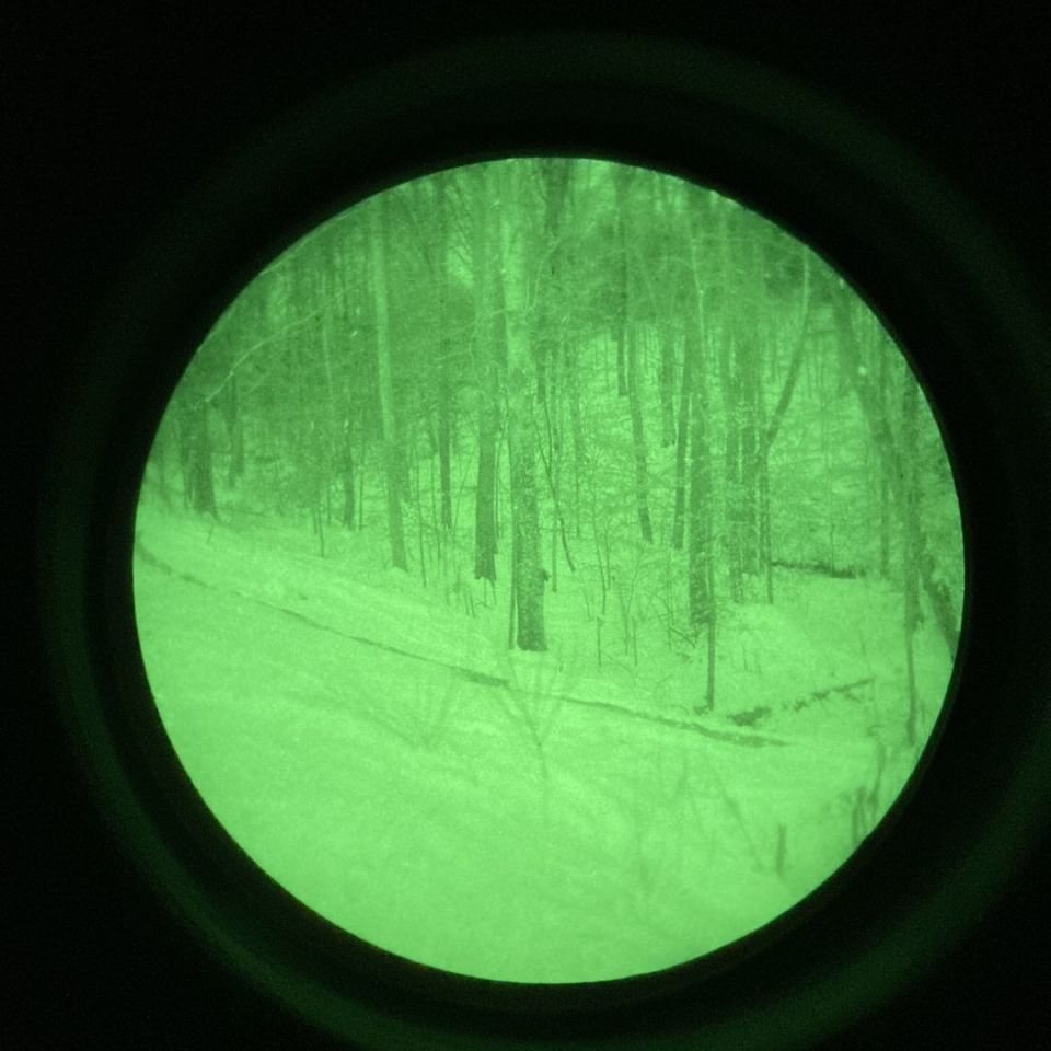 Image 4 - (SPF) Anvis 9 l3 omni7