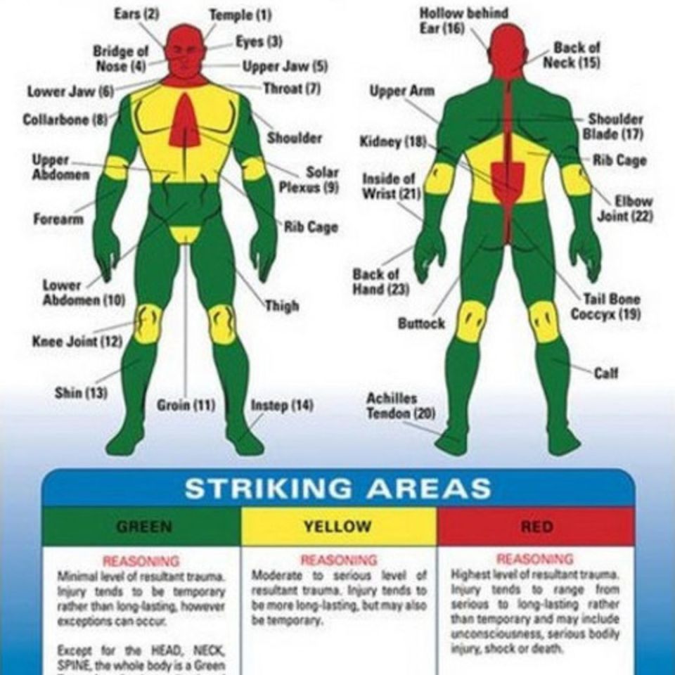 Image 4 -  Monadnock PR-24 Instructions Included!!! Police Baton