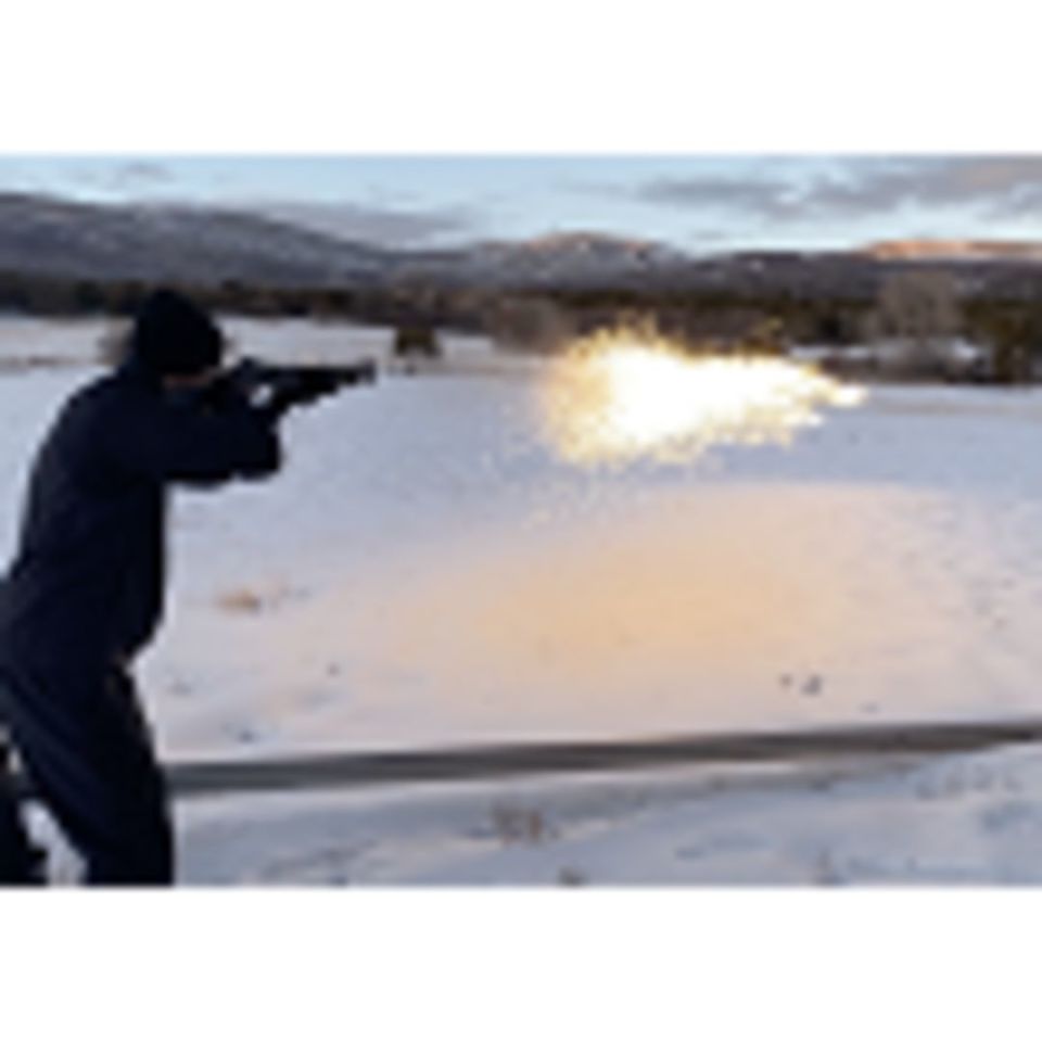 Image 1 - Phoenix Rising Super Dragon 12