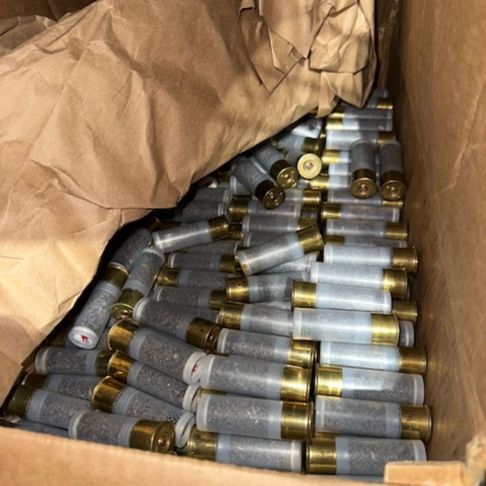 Image 4 - Phoenix Rising Super Dragon 12