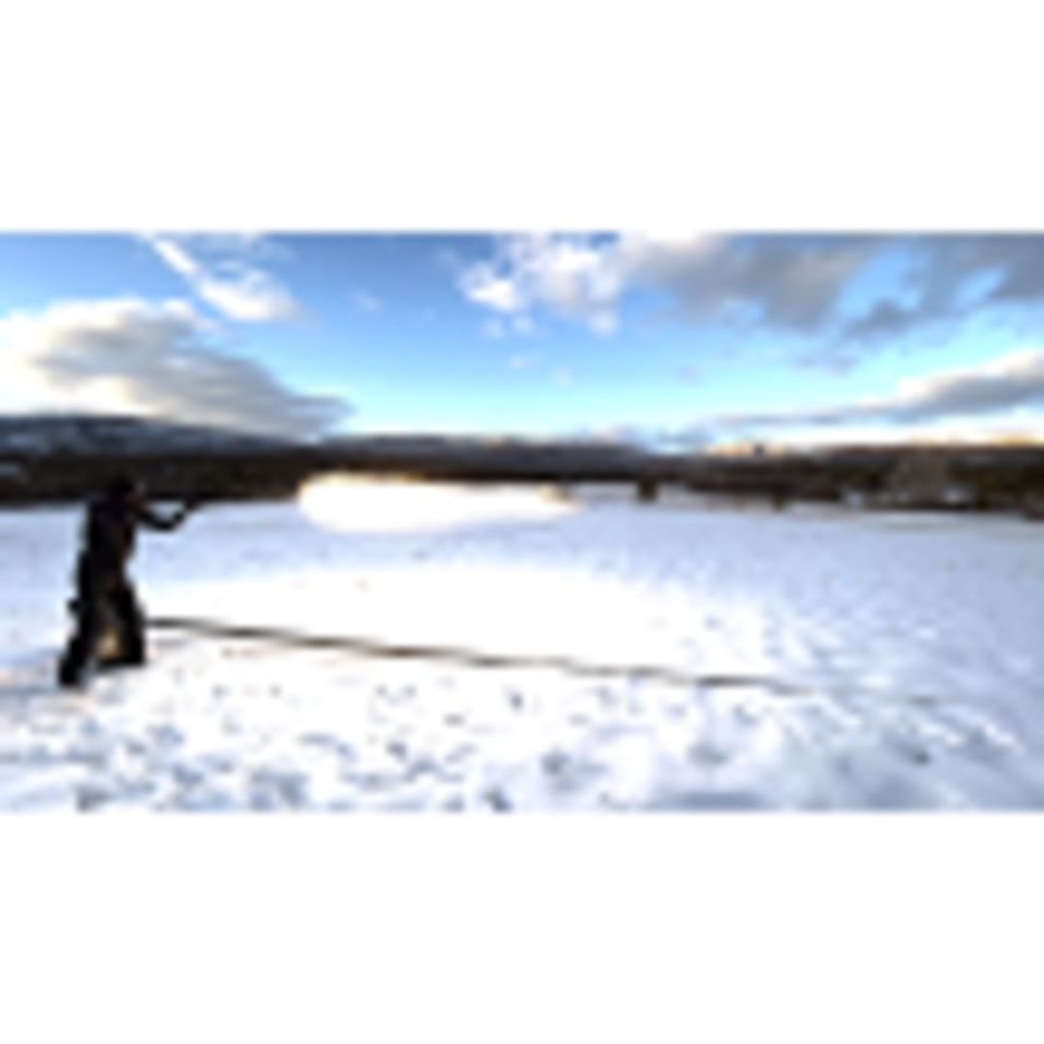 Image 2 - Phoenix Rising Super Dragon 12